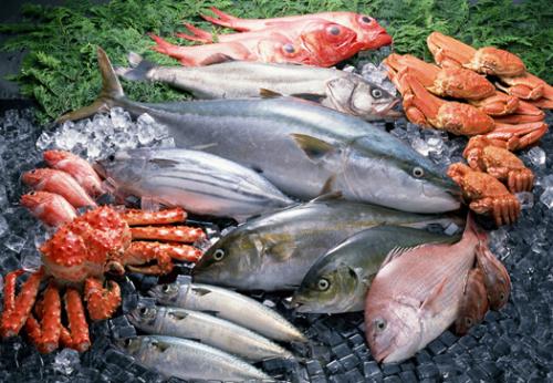 輸送帶廠家:青島天津等疫情均與冷鏈海鮮有關(guān)