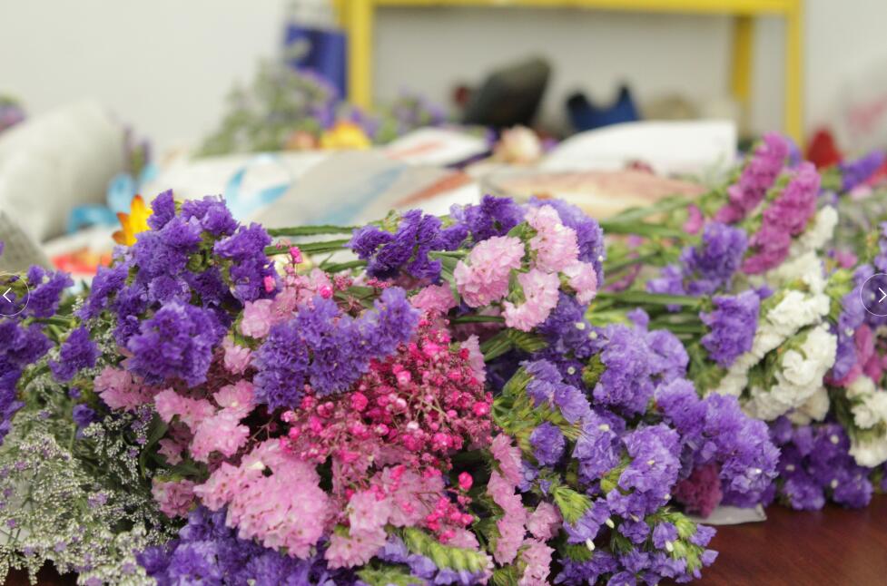 三八女神節(jié),擎川給女神們送上驚喜!