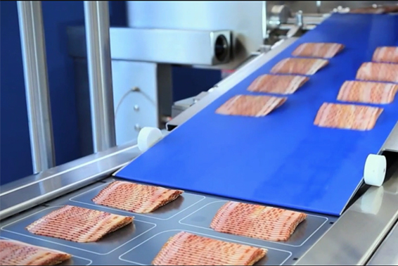 餃子、肉類食品輸送帶應(yīng)該怎么選擇