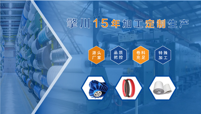 裙邊輸送帶常見(jiàn)故障及解決方法