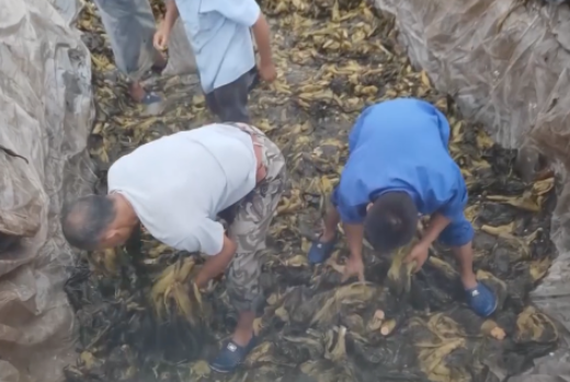 食品輸送帶:“土坑酸菜”11家企業(yè)復(fù)工,消費(fèi)者還買(mǎi)單嗎