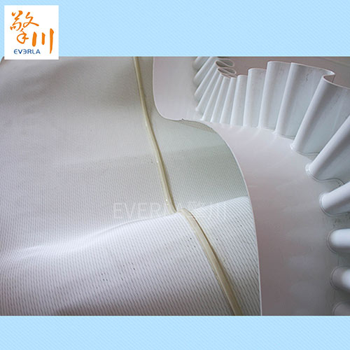 1648026832686982.jpg 擋板輸送帶